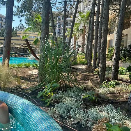 Apartment Harmony Sunny Beach